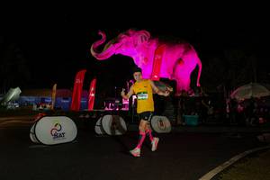 BIB: 
                            <button type="button" onclick="openModal(26535208)" class="btn btn-primary btn-sm float-right btn-popup" data-toggle="modal" data-target=".modal-high-quality">
                        <i class="fas fa-shopping-cart"></i> Add to Cart
                    </button>
                                            <button type="button" onclick="isThisMe(26535208, true)" class="btn btn-success btn-sm float-right btn-popup btn-isme hidden" data-toggle="tooltip" data-placement="bottom" title="นี่คือรูปของคุณใช่ไหม คลิกที่นี่เพื่อเอาเข้าอัลบั้ม">
                        <i class="fas fa-plus"></i> Add to album
                    </button>
                    <button type="button" onclick="isThisMe(26535208, false)" class="btn btn-warning btn-sm float-right btn-popup btn-isnotme hidden">
                        <i class="fas fa-ban"></i> Remove from album
                    </button>